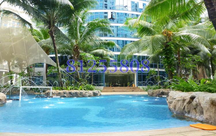 Water Place (D15), Condominium #103706612